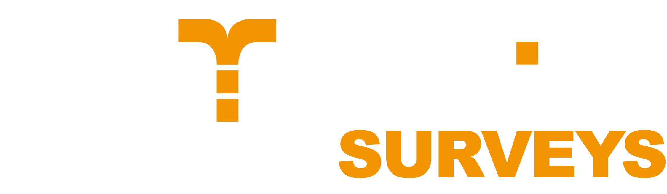 AYET Studios Surveys